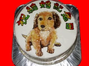 料金案内
